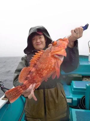 2024年6月9日の釣果・お知らせの写真