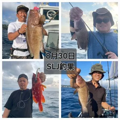 2026年8月31日の釣果・お知らせの写真 4
