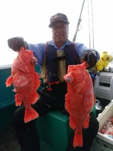 2017年7月12日の釣果・お知らせの写真 2