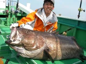 2008年10月11日の釣果・お知らせの写真