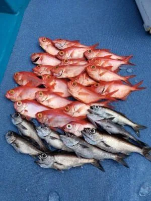 2021年6月24日の釣果・お知らせの写真