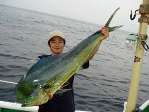 2006年6月17日の釣果・お知らせの写真