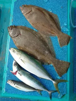 2021年5月25日の釣果・お知らせの写真