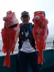 2017年6月20日の釣果・お知らせの写真