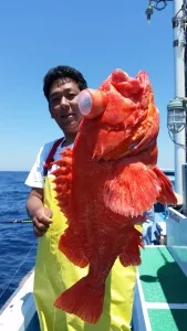 2017年5月19日の釣果・お知らせの写真 2