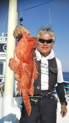 2019年5月12日の釣果・お知らせの写真 7