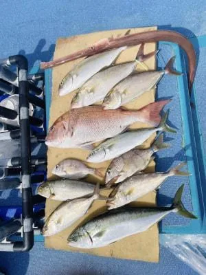2024年9月21日の釣果・お知らせの写真 8