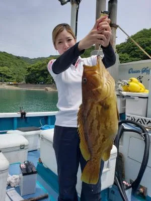 2022年6月13日の釣果・お知らせの写真
