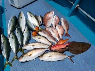 2021年6月11日の釣果・お知らせの写真 3