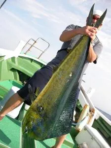 2009年7月18日の釣果・お知らせの写真