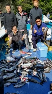 2016年11月23日の釣果・お知らせの写真