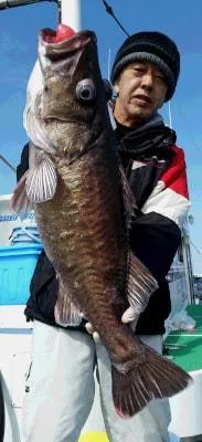 2018年3月4日の釣果・お知らせの写真