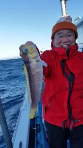 2017年1月27日の釣果・お知らせの写真