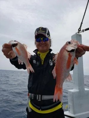 2019年6月2日の釣果・お知らせの写真