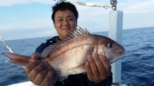 2017年11月29日の釣果・お知らせの写真