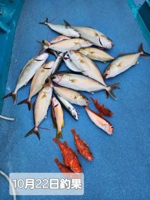 2024年10月25日の釣果・お知らせの写真 6
