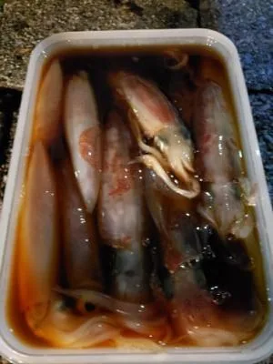 2021年9月11日の釣果・お知らせの写真 2