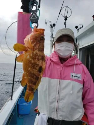 2020年2月15日の釣果・お知らせの写真