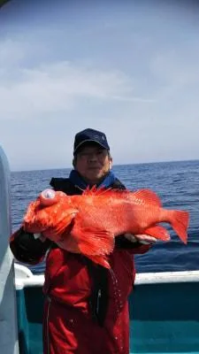 2018年4月22日の釣果・お知らせの写真 2