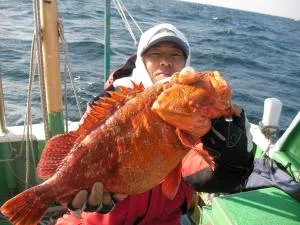 2009年2月5日の釣果・お知らせの写真