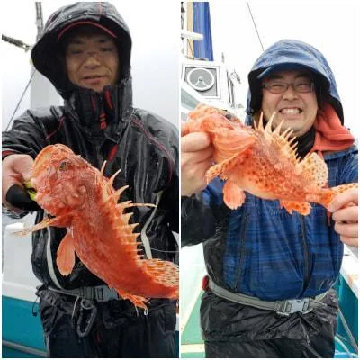 2019年2月6日の釣果・お知らせの写真