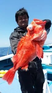 2017年4月28日の釣果・お知らせの写真
