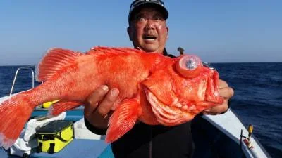 2018年4月29日の釣果・お知らせの写真 5