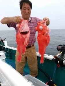 2017年5月31日の釣果・お知らせの写真
