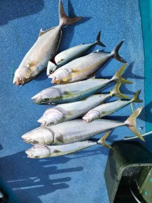 2023年11月29日の釣果・お知らせの写真 4