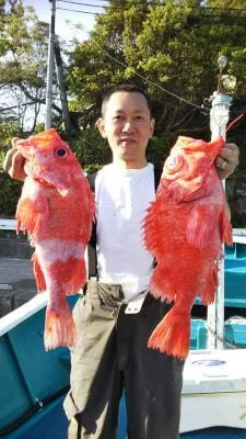 2018年4月28日の釣果・お知らせの写真