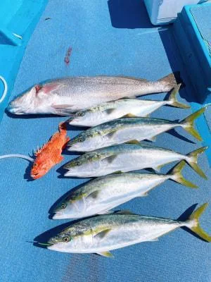 2025年3月9日の釣果・お知らせの写真 2
