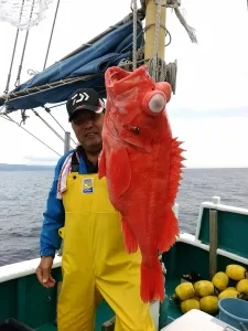 2016年10月31日の釣果・お知らせの写真 7