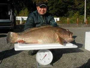 2010年1月9日の釣果・お知らせの写真 2