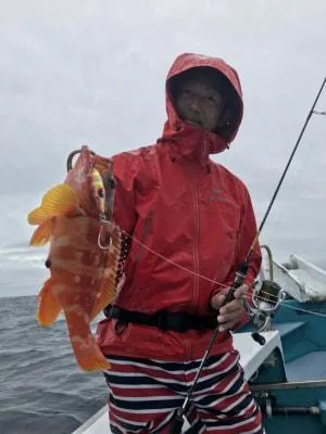2019年7月19日の釣果・お知らせの写真 5
