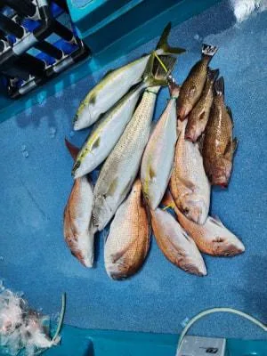 2023年9月8日の釣果・お知らせの写真 4