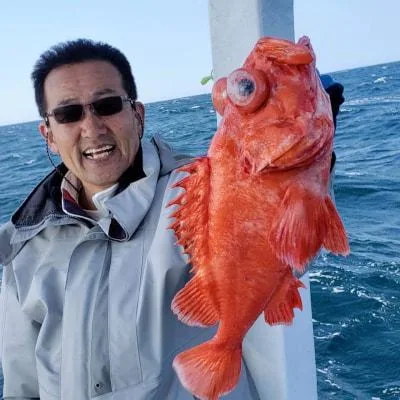 2019年4月21日の釣果・お知らせの写真 2