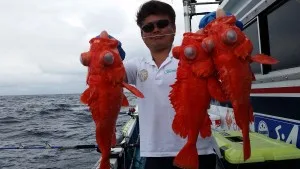 2017年7月14日の釣果・お知らせの写真 5