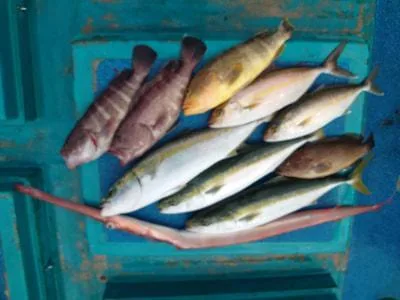 2022年10月12日の釣果・お知らせの写真 2