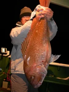 2011年3月19日の釣果・お知らせの写真 3