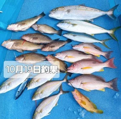 2024年10月25日の釣果・お知らせの写真