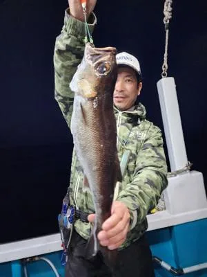 2025年4月9日の釣果・お知らせの写真 2