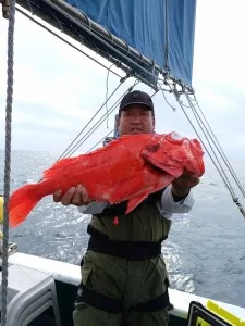 2017年6月6日の釣果・お知らせの写真 3