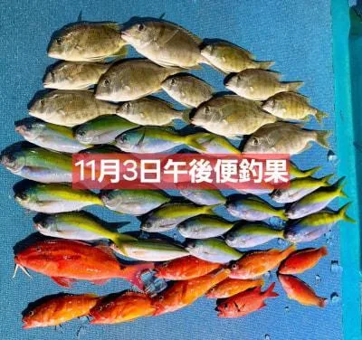 2025年11月3日の釣果・お知らせの写真