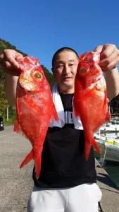 2017年11月12日の釣果・お知らせの写真