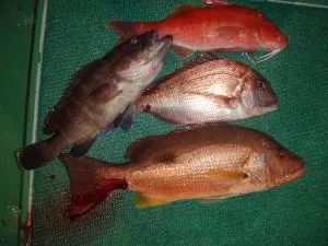 2006年9月29日の釣果・お知らせの写真 4