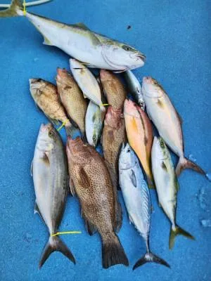 2024年10月28日の釣果・お知らせの写真 4