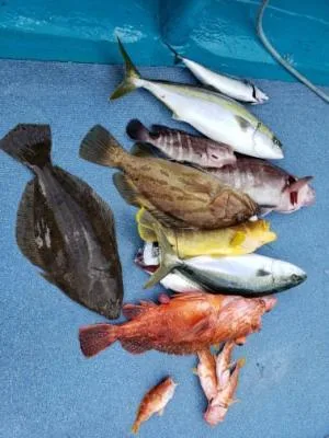 2020年8月29日の釣果・お知らせの写真 8