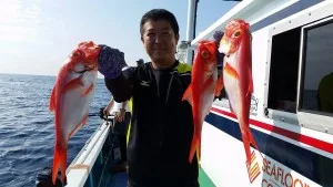 2017年7月15日の釣果・お知らせの写真