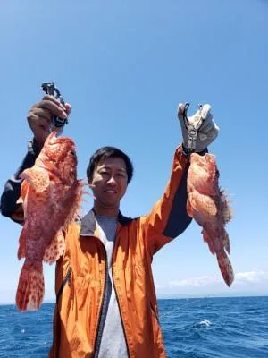2019年6月12日の釣果・お知らせの写真
