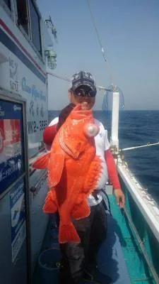 2018年4月4日の釣果・お知らせの写真 5